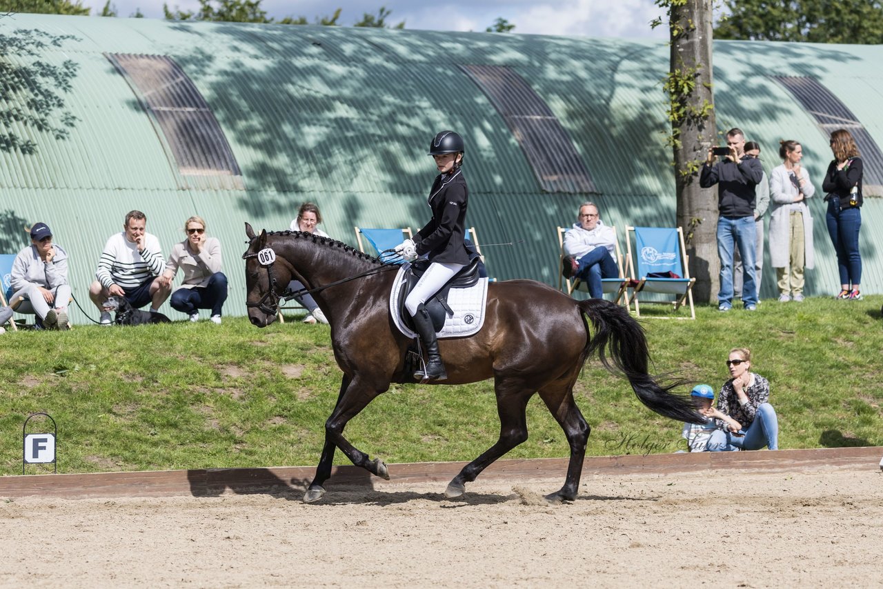 Bild 686 - Pony Akademie Turnier